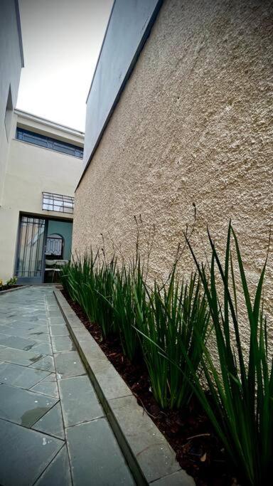 Casa Da Tia Iche Holiday home